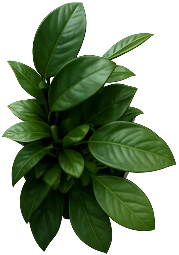 Decorative green leaves symbolizing startup growth and business progress