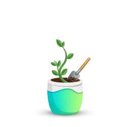 Seed startup building a strong business foundation